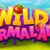GameArt’s New, Tasty Slot Slot: Wild Marmalade